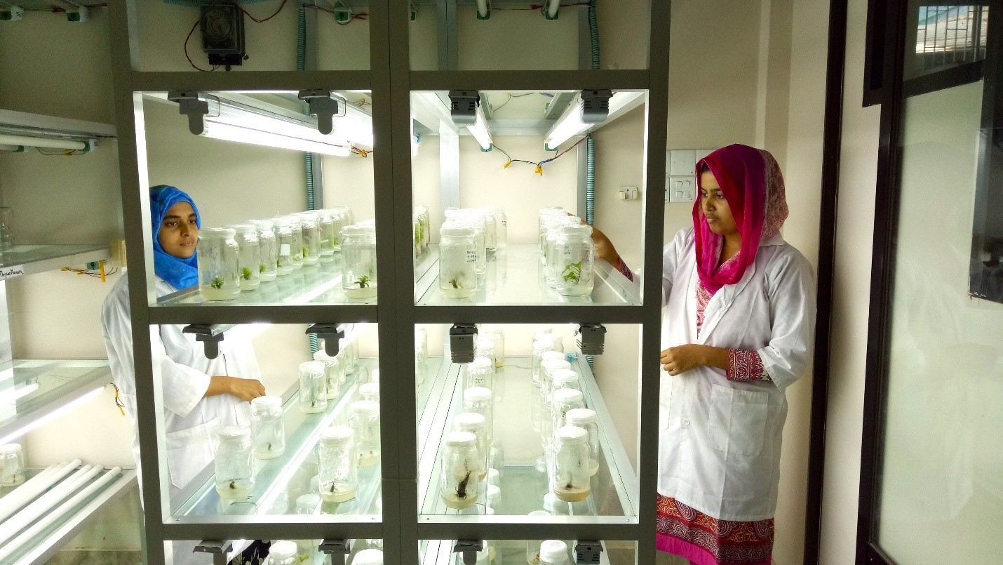 DNA profiling and TC protocol developed